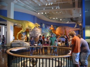 natural-history-museum-indoors